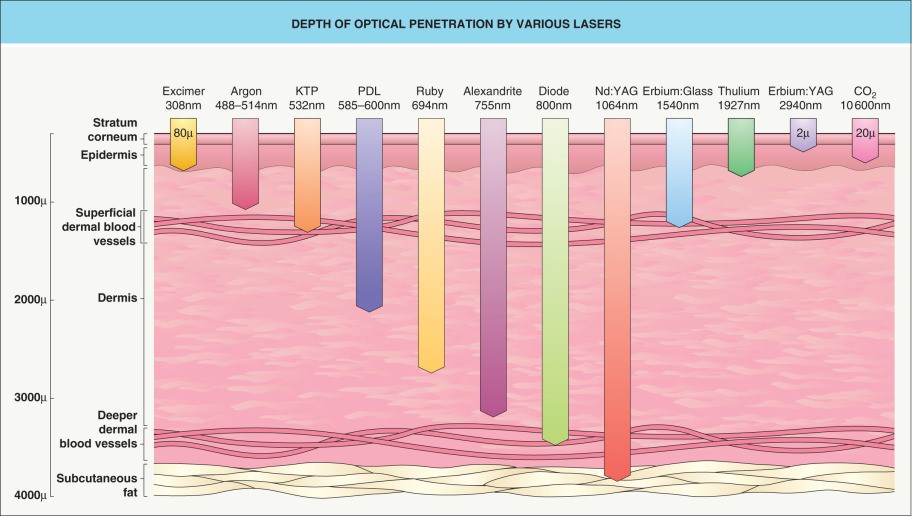 Pennetration Depth of light in life tissue