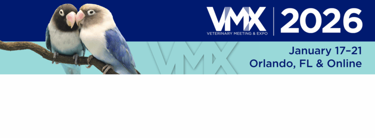 VMX-2026 Logo