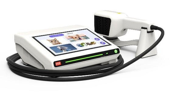 Phylas Therapy Laser